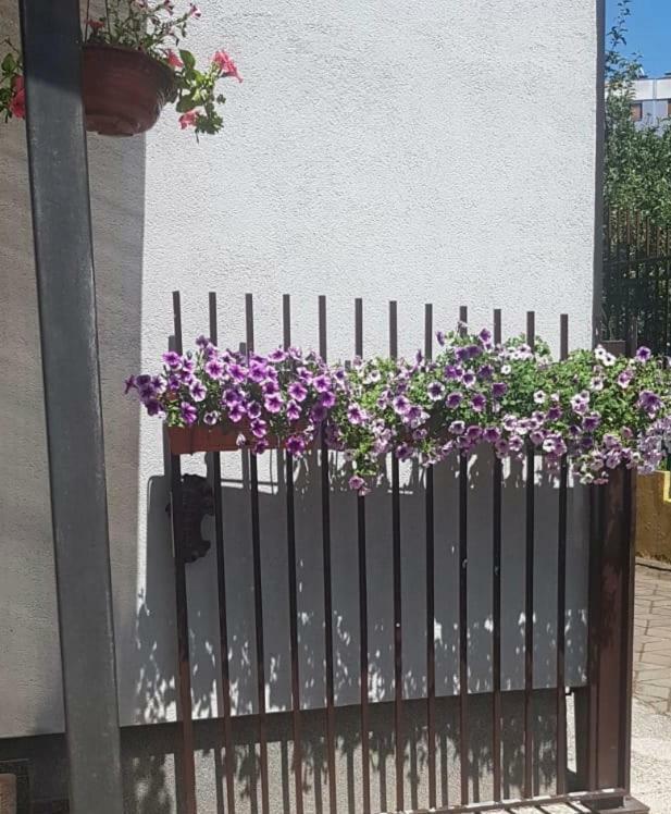Sun Garden Sarajevo Aparthotel Buitenkant foto
